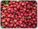 Lychee Health Benefits: Antioxidant, Neuroprotective, and Anti-Cancer Insights