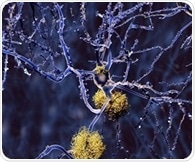 Berberine improves cognitive function in diabetic encephalopathy mice