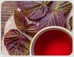 How raspberry leaf tea reduces insulin surges from table sugar