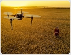 AI And Drone Imaging Predict Wheat Yields With Unmatched Accuracy
