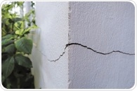 How Bacillus Spores Initiate Self-Healing Concrete