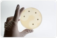 How do common painkillers drive stronger E. coli resistance?