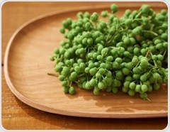 Sansho: A Japanese spice supporting gut, immune, and metabolic health