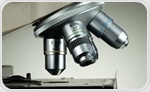 Researchers Use Photonic Origami to Fold Glass into Microscopic 3D Optical Devices