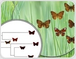 AI Learns Evolution’s Logic With Quartet-Based Neural Network