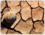 Climate change is already driving heat mortality and massive economic losses