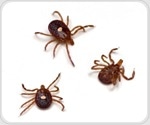 Study maps distribution of disease-carrying ticks across Illinois