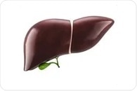 Study identifies key molecular and clinical biomarkers for MASLD