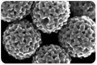 Nanoscale Gold Detects Ovarian Cancer Markers in Bodily Fluids