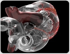 MRI and 3D printing reveal how artificial hearts manage blood flow