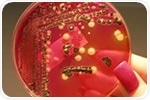 New dual-target vaccine shows promise against typhoid and Salmonella