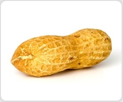 New intervention improves pediatricians' ability to counsel families on early peanut introduction
