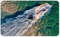 How Optical Satellite Technologies are Transforming Forest Protection