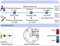 Scientists use blood chemistry to predict disease years before it strikes