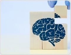 Heavy drinking fuels Alzheimer’s disease by igniting brain inflammation and protein damage