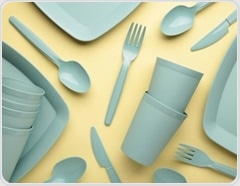 What happens when microplastics reach the testes? Study shows autophagy and cell loss