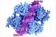 New breakthrough enables whole genome sequencing in hours