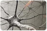 Researchers identify nervous system components driving gastrointestinal cancer growth