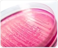 Pathogenic bacteria can block gut’s natural defense to spread infection