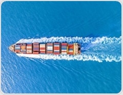 Global study maps how trade and travel fuel the worldwide spread of disease-carrying mosquitoes