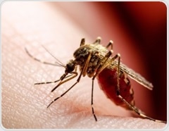 Flower-scented fungus that kills mosquitoes naturally