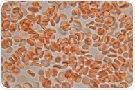 FEOX Biosensor Tracks Intracellular Iron in Stem Cell Differentiation