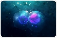 Croatian Scientists Rewrite the Story of Cell Division