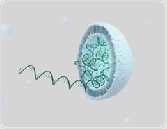 How COVID mRNA vaccines may make cancer treatments more effective