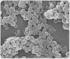 Nanoparticles offer new hope for treating alcohol-related liver disease