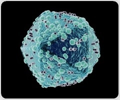 Newly discovered perineural pathway enables HIV virus to redistribute throughout the body