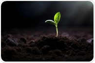 Plant-Based Catalysts for More Sustainable Reactions