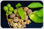How walnuts combat inflammation and oxidative stress in the body