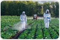 Biopesticides in 2025: The Science Behind Sustainable Pest Control