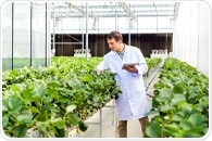 How Agritech Is Reinventing Global Food Security In 2025