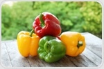 Millicompost Can Replace Peat For Growing Stronger Bell Pepper Seedlings