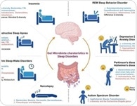 How gut microbes shape sleep: New review reveals microbiome clues to insomnia and apnea