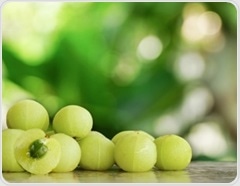 Amla (Indian Gooseberry) health benefits: From vitamin C to anti-aging evidence