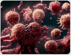 Urolithin A recharges aging immune cells and boosts mitochondrial fitness in midlife adults