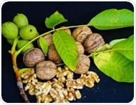 How walnuts combat inflammation and oxidative stress in the body