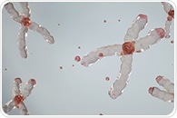 Unlocking memory: The role of epigenetics in memory expression