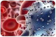 Northwestern team develops antibody to expose hidden pancreatic cancer cells