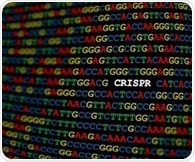 One-time CRISPR therapy safely lowers cholesterol and triglycerides in early trial