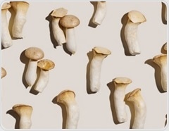 Are mushrooms more than a low-calorie food? New analysis explains their hidden advantages