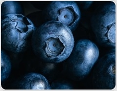 Daily berries and cocoa enhance mood by targeting key brain pathways