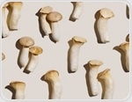 Are mushrooms more than a low-calorie food? New analysis explains their hidden advantages