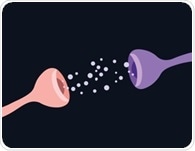 Tirzepatide reveals a brain signal that predicts returning food preoccupation