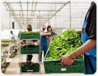 How climate change is reshaping the nutrient profile of crops