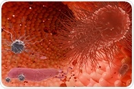 Unraveling the mycobiome's role in cancer