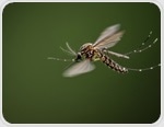 Wind-borne mosquitoes carry infectious pathogens for hundreds of miles