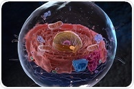 Inter-Organelle Crosstalk Regulates Protein Biogenesis in Eukaryotic Cells